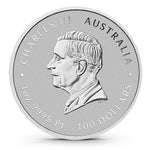 2025 Australia 1 Oz Platinum Lunar Snake Coin (BU) - AGC